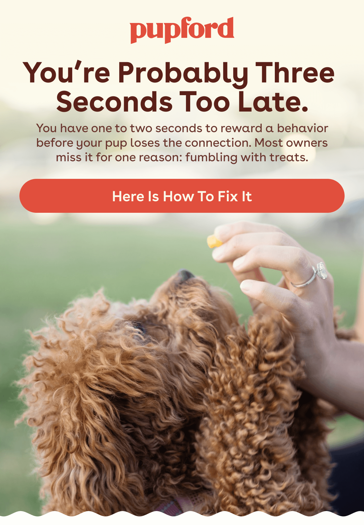 Heres how to fix it 