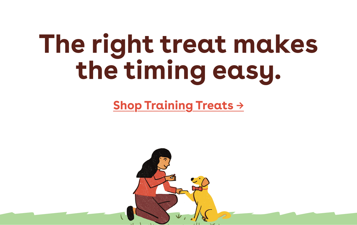 Shop training treats 