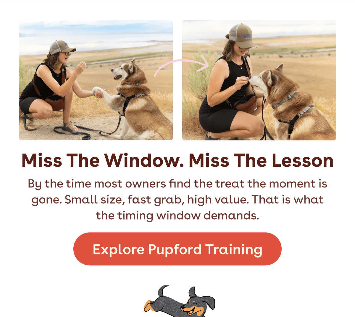 Explore Pupford training 