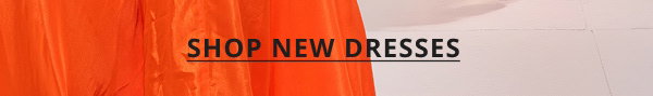 SHOP NEW DRESSES