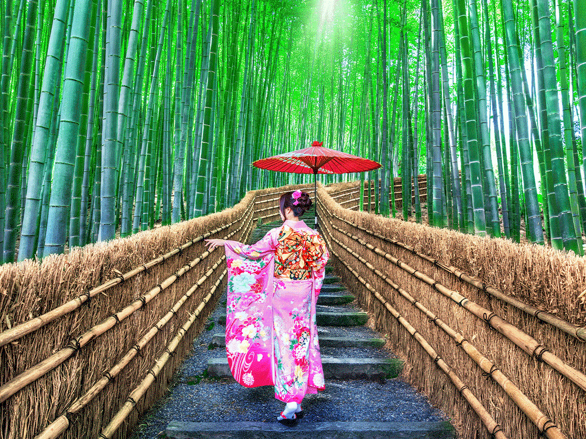 Emerald Experience: Unforgettable Land Adventures