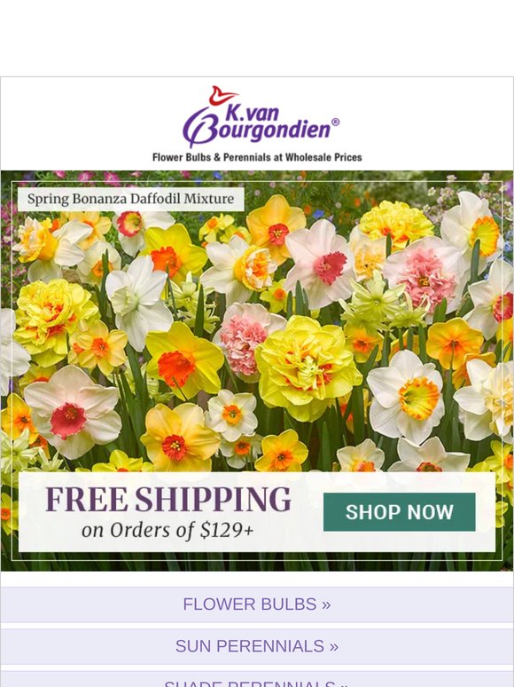 🌷 Flash Sale – Free Shipping Available! 🌷