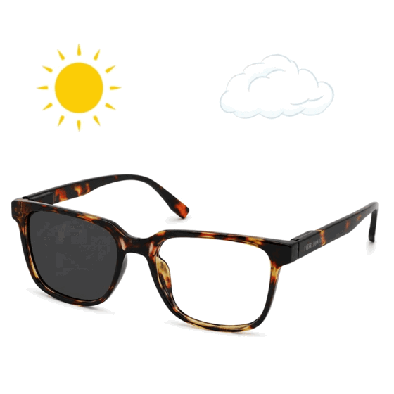 CUBO <br><i>Photochromic<\i>