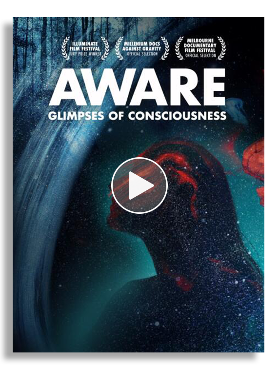 Aware: Glimpses of Consciousness