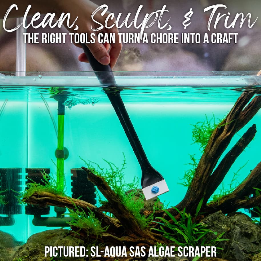 Aquascaping Tools and Accessories