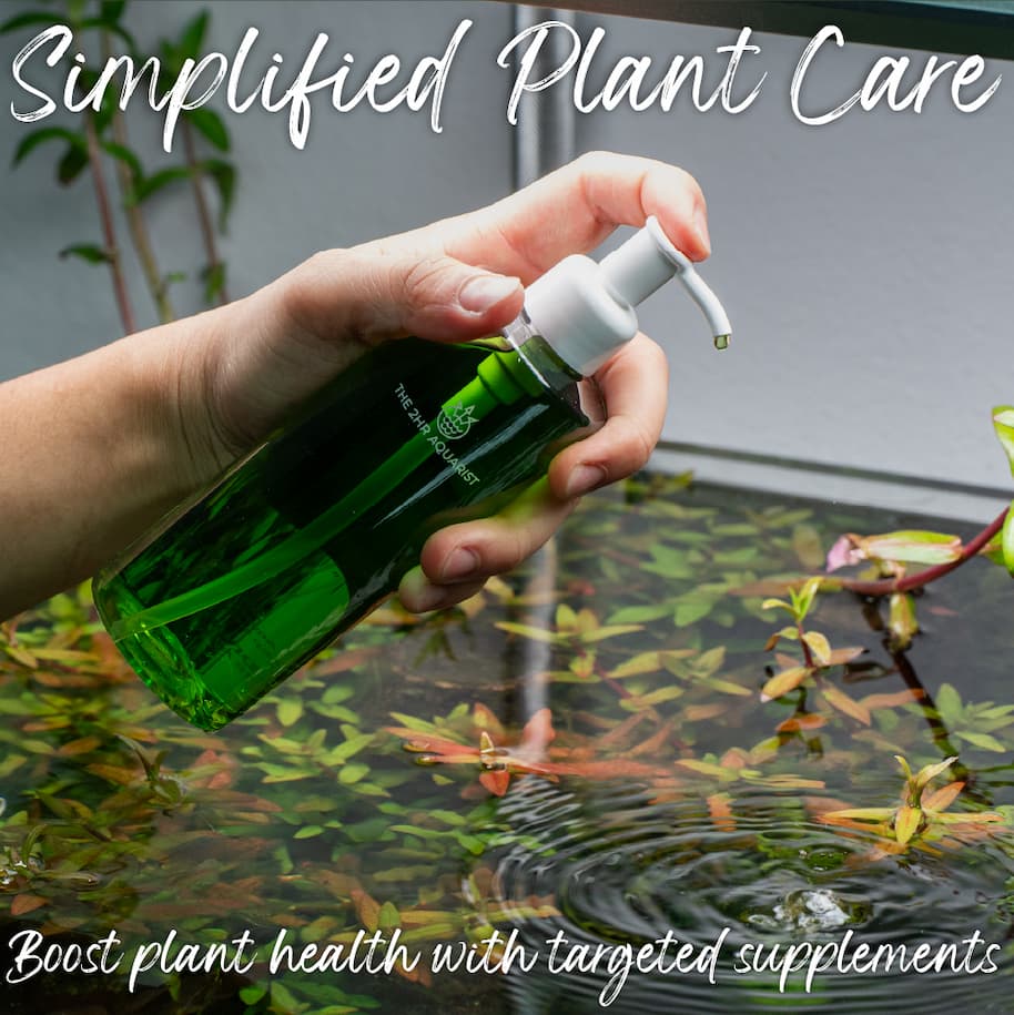 Aquarium Fertilizers