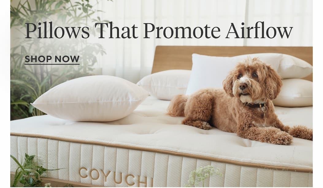 Pillows That Promote Airflow Shop Now