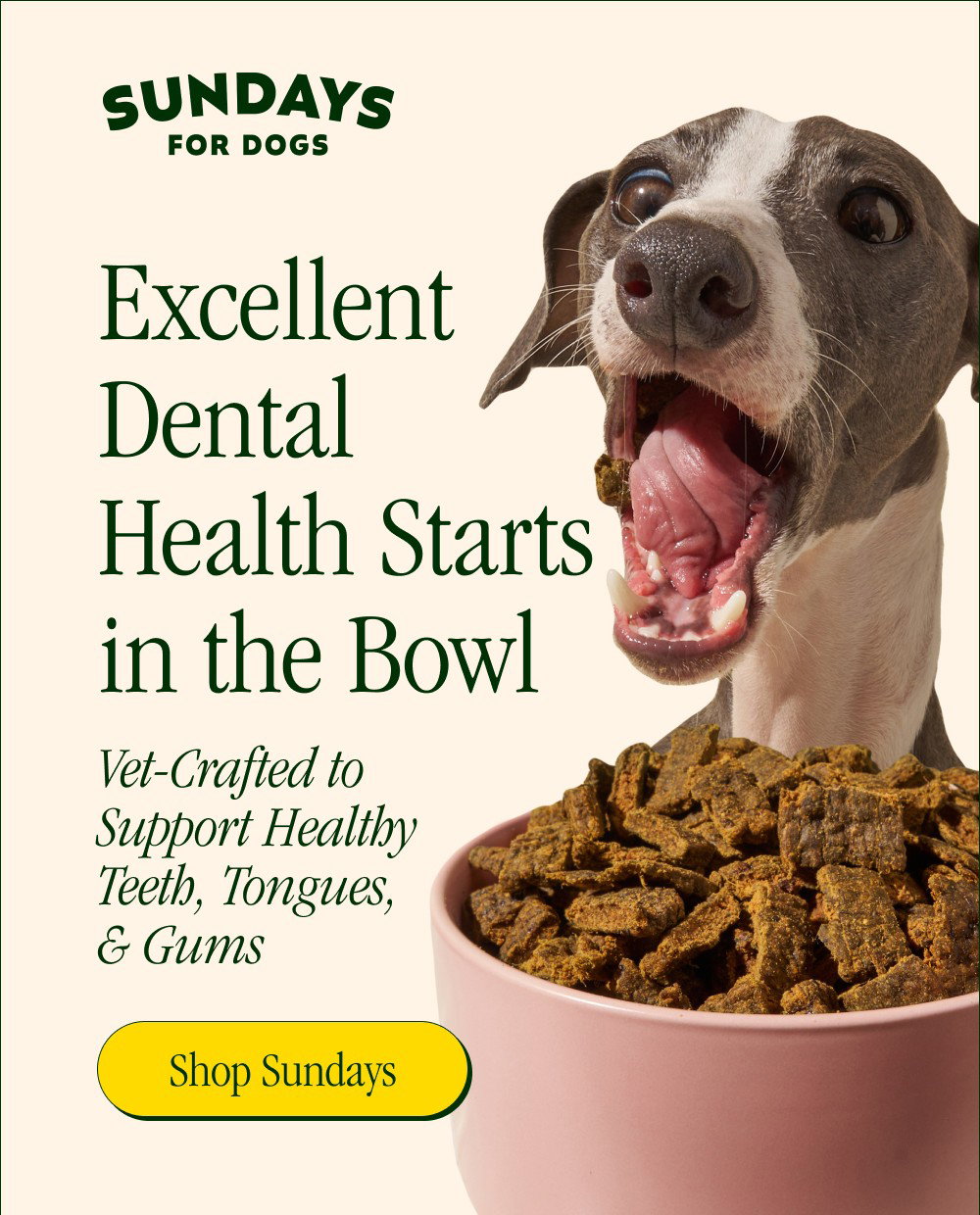 Shop Sundays Excellent Dental Health Starts in the Bowl  Vet-Crafted to  Support Healthy  Teeth, ...