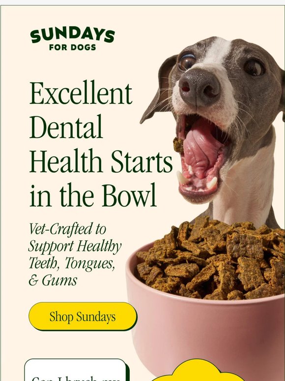 Let’s Talk Teeth 🦷