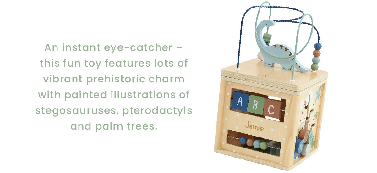 Personalised FSC® Wooden Dinosaur Activity Cube