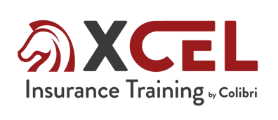 XCEL24_Logo_RGB_Color-1