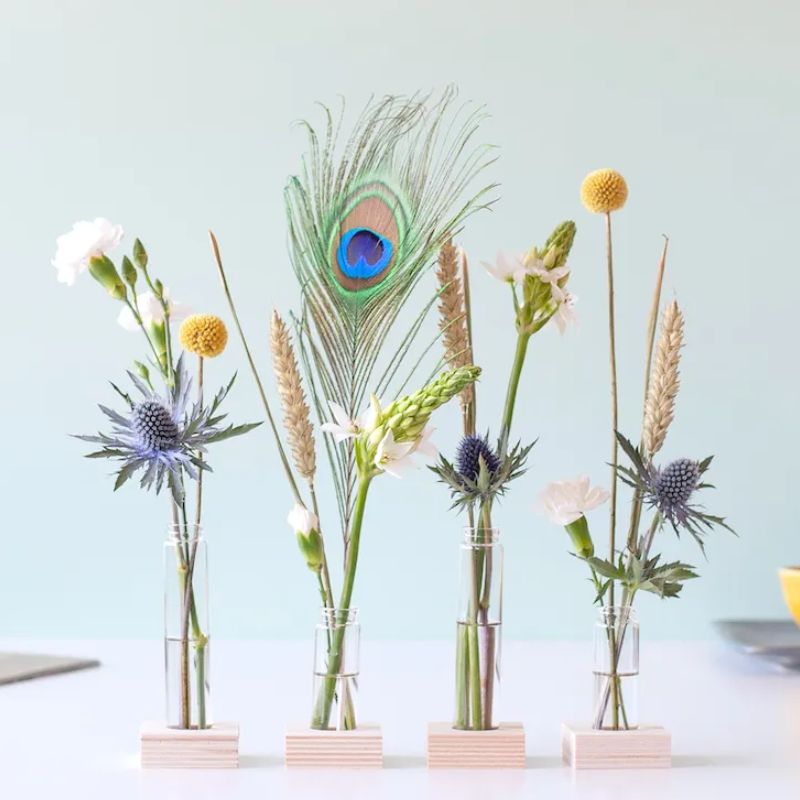 BloomParty