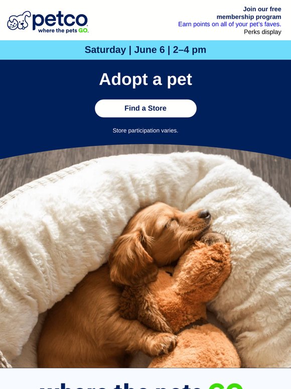 THIS SATURDAY! Adopt a new BFF >>>