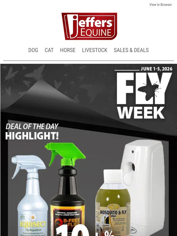 Day 4: More Fly Week Deals For You! 🐎
