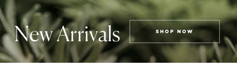 Women's Summer New Arrivals