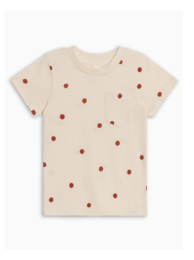 Shop the Everest Short Sleeve Tee