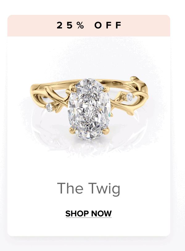 Shop The Twig 25% OFF