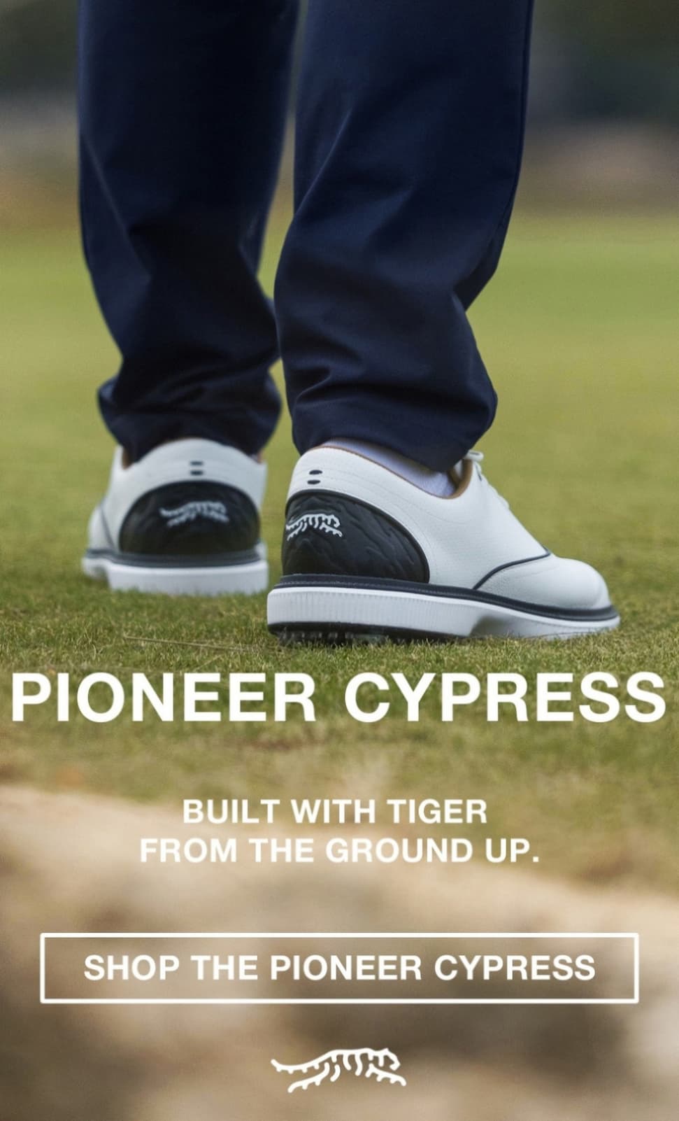 Pioneer Cypress Hero