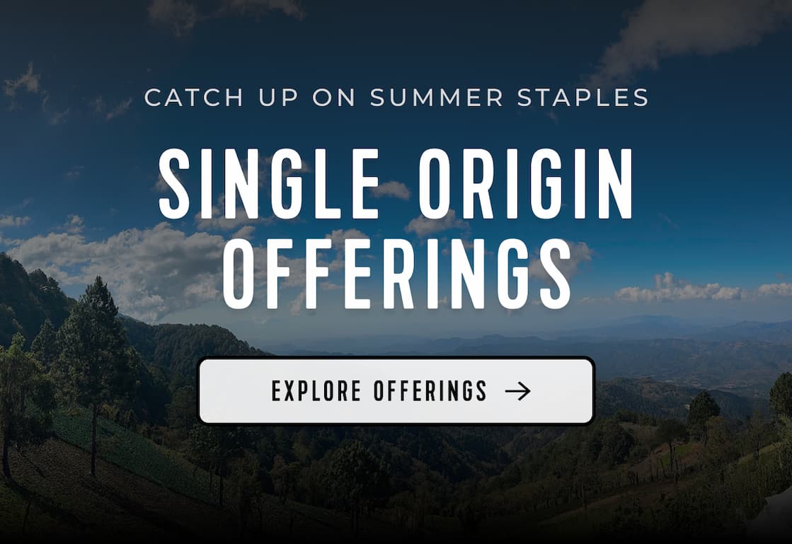 Catch Up On Summer Staples