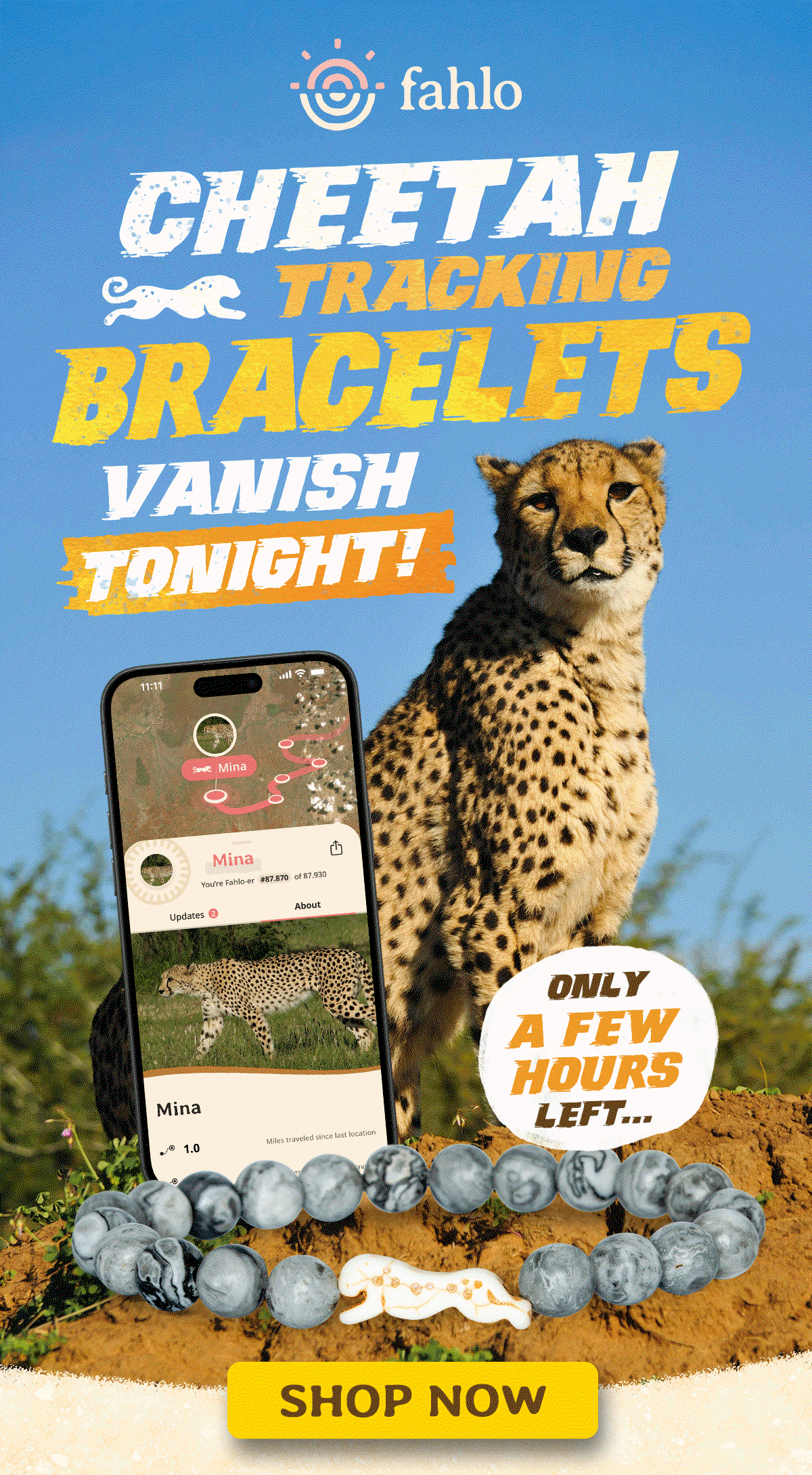 Cheetah tracking bracelets vanish tonight! Only a few hours left...