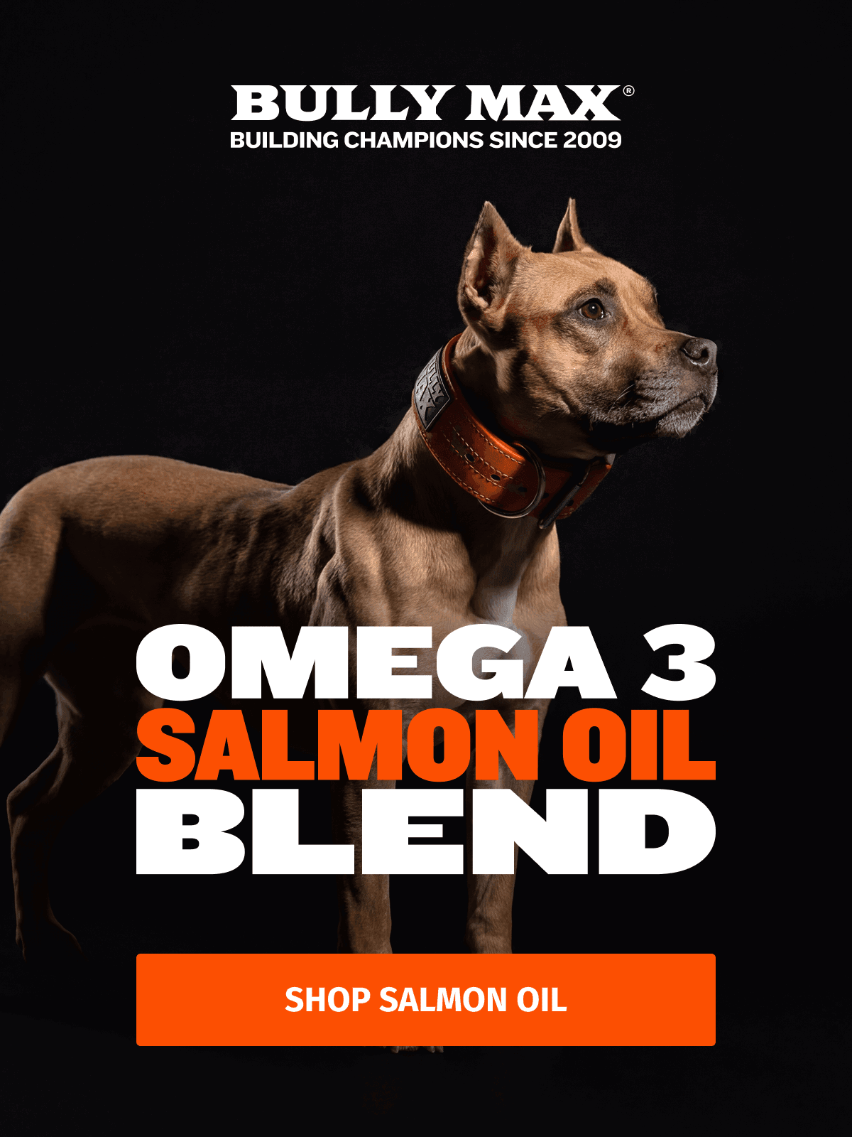 Shop Salmon Oil