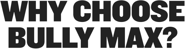 Why Choose Bully Max