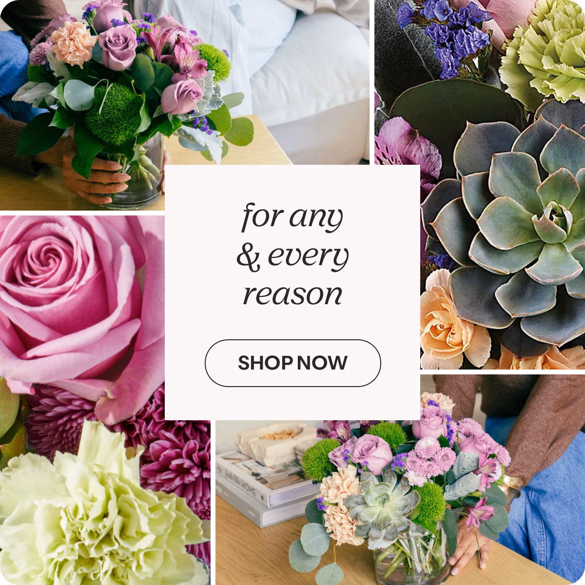 for any & every reason - SHOP NOW »