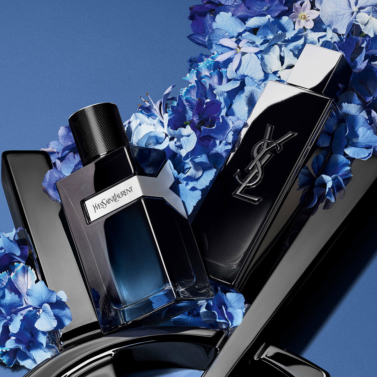Two YSL Y perfume bottles nestled among vibrant blue hydrangeas.