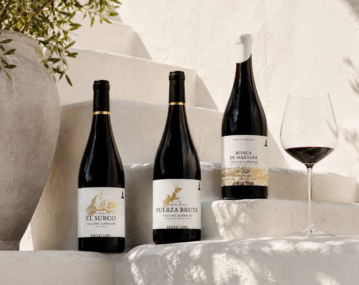Three red wine bottles with white labels and a glass of red wine arranged on sunlit white Mediterranean steps beside a terracotta pot