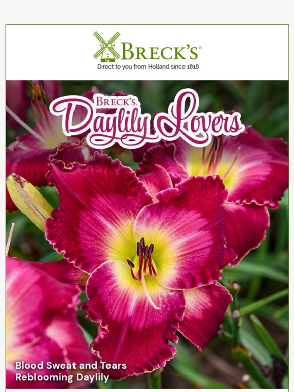 🌸 Preorder Daylilies Now for the Widest Selection