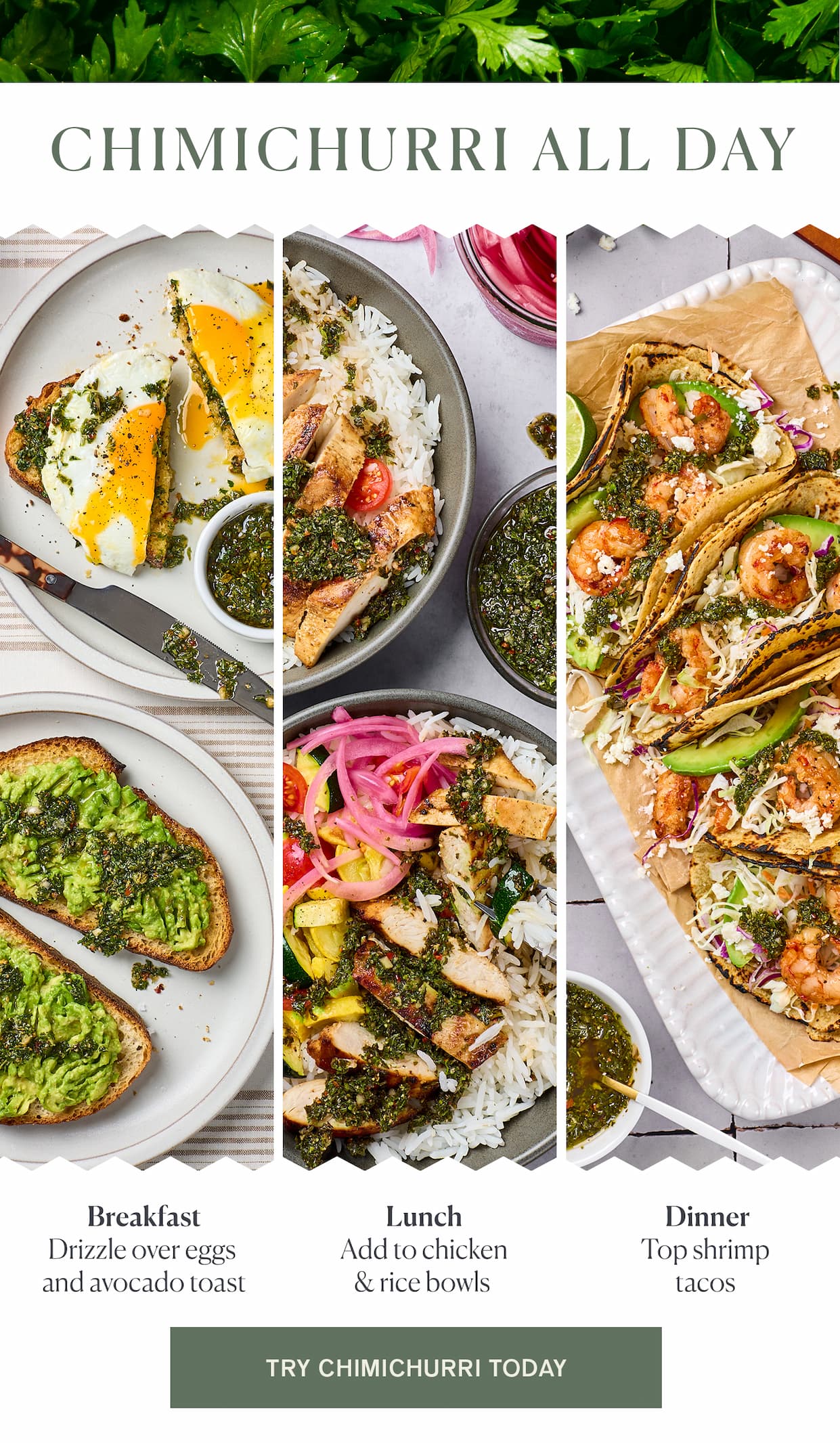 green chimichurri mix