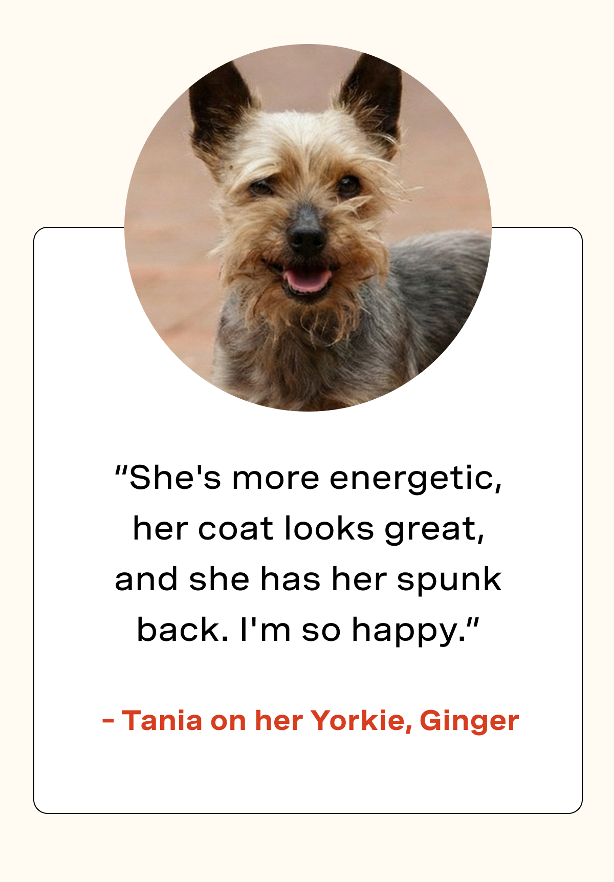 "She's ore energetic, her coat looks great, and she has her spunk back. I'm so happy." - Tania on her Yorkie, Ginger
