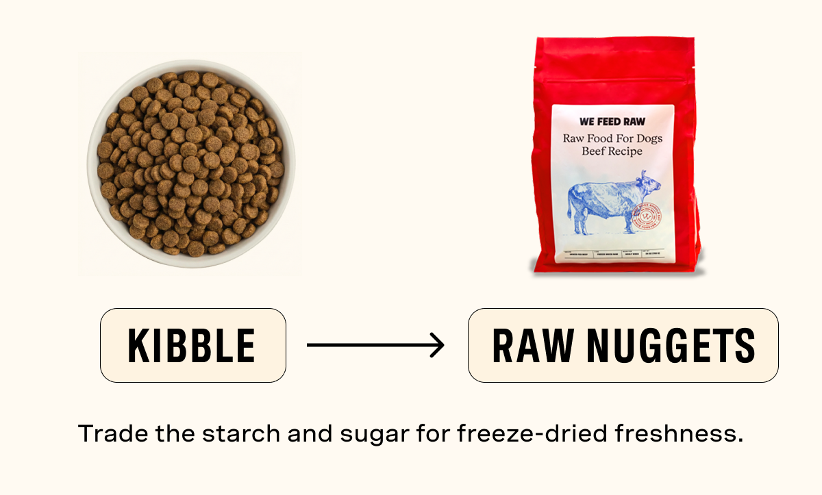 Kibble vs Raw Nuggets: Trade the starch and sugar for freeze-dried freshness.