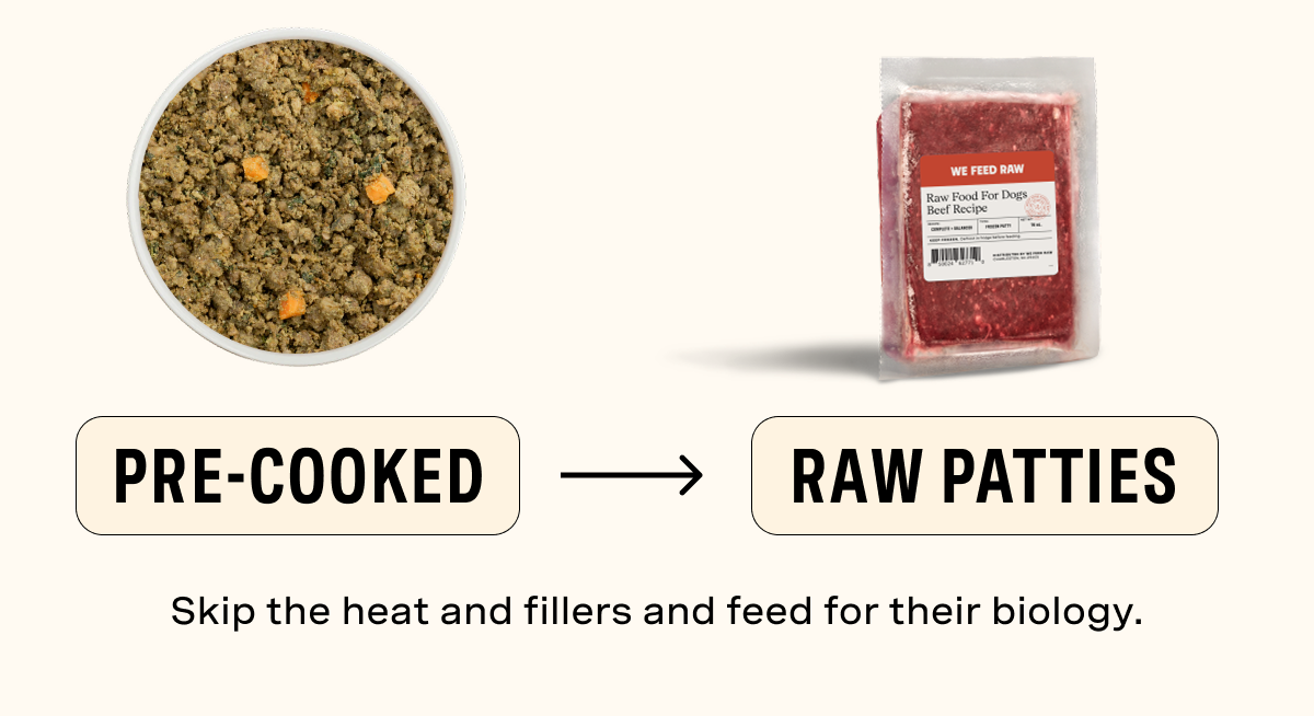 Pre-Cooked vs Raw Patties - Skip the heat and fillers and feed for their biology. 