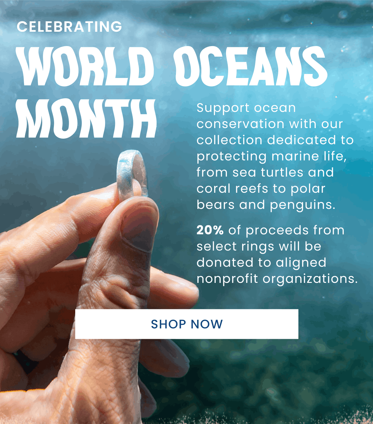 Celebrating World Ocean Month | Support ocean conservation with our collection dedicated to protecting marine life, from sea turtles and coral reefs to polar bears and penguins. 20% of proceeds from select rings will be donated to aligned nonprofit organizations. | Shop Now