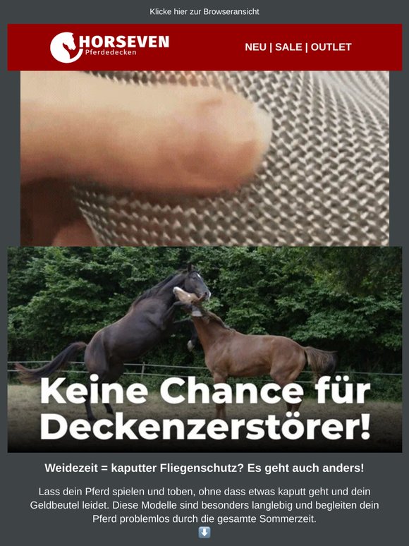Zerstörerische Pferde? Dieser Fliegenschutz geht nicht kaputt!