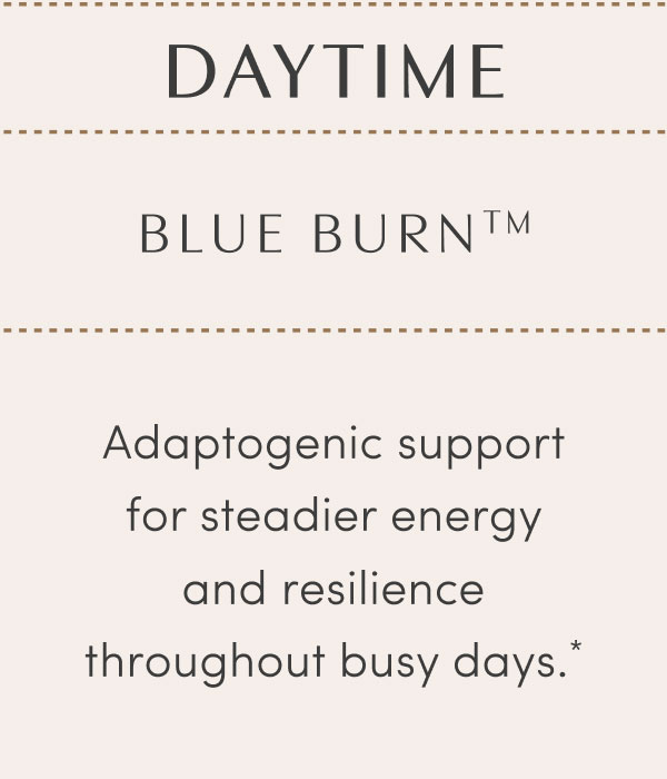DAYTIME - BLUE BURN™ - Adaptogenic support for steadier energy and resilience throughout busy days.* 
