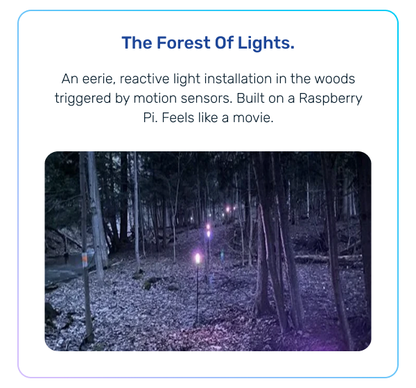 The Forest Of Lights
