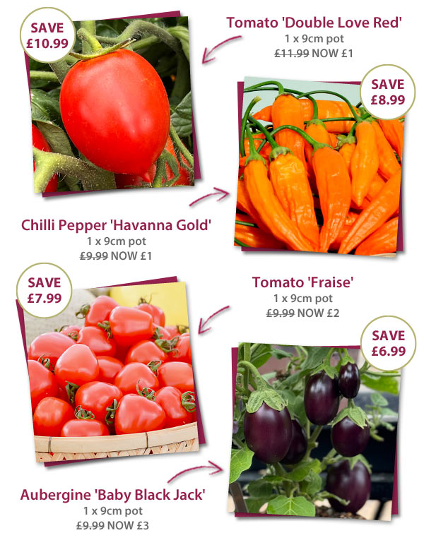 More offers