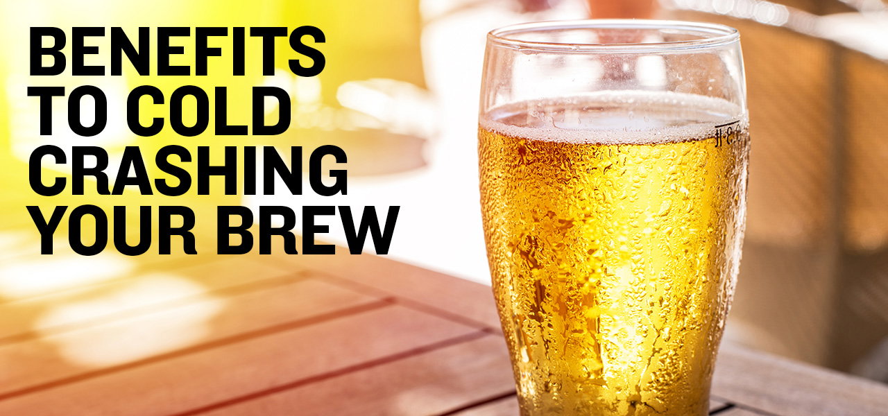 Cold Crashing Beer for Crystal Clear Homebrew