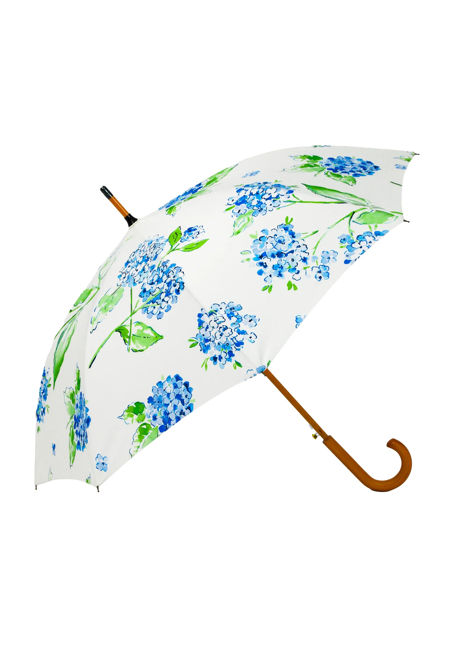 Image of Hydrangea Bloom Umbrella