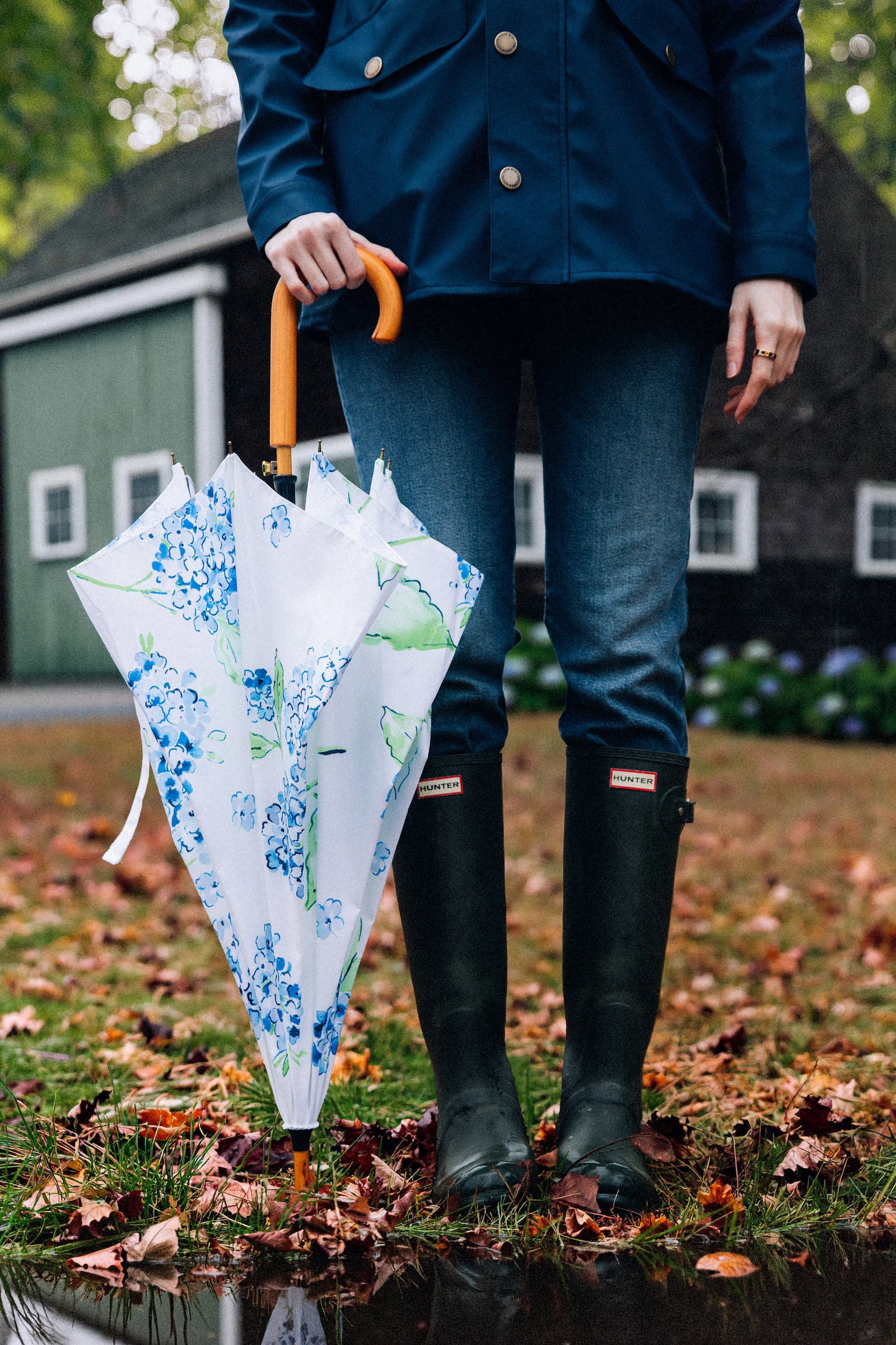 Hydrangea Umbrella