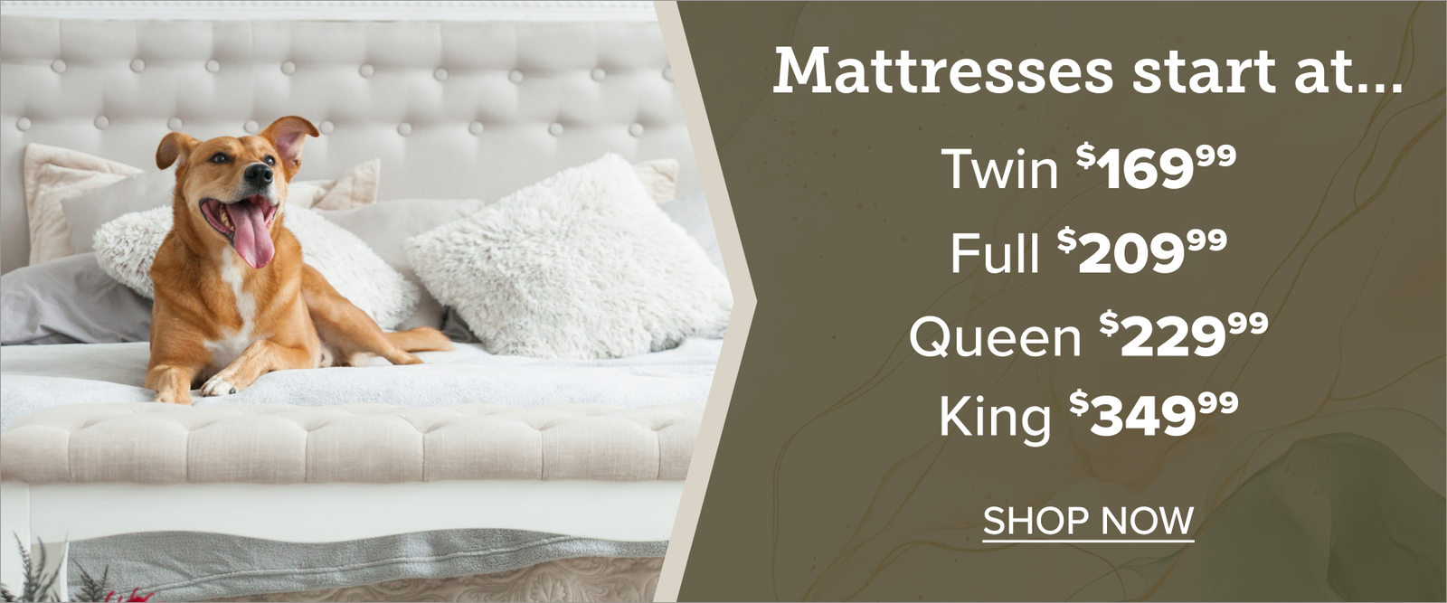 Mattress Starting Points June Theme