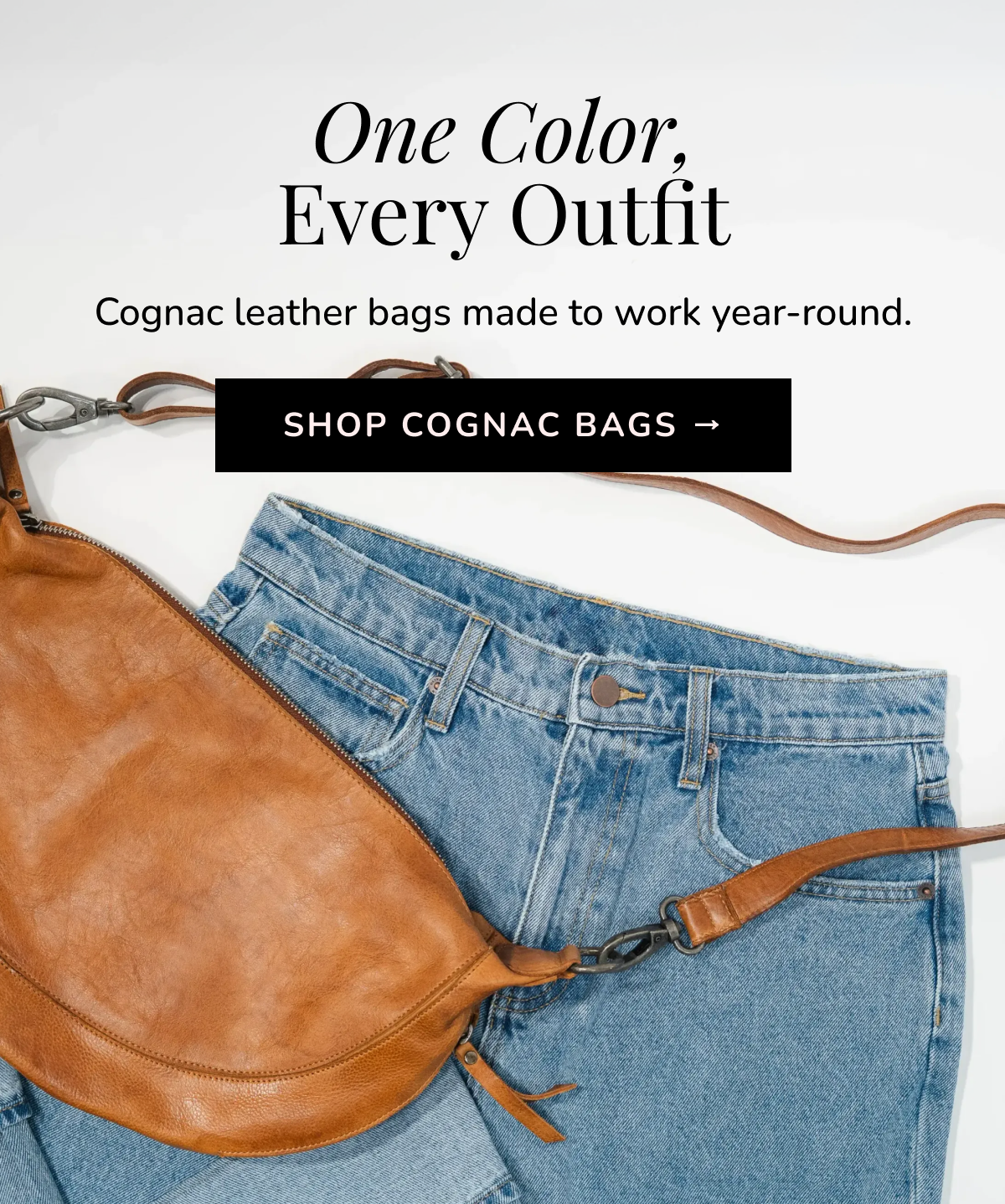 Shop Cognac Bags →