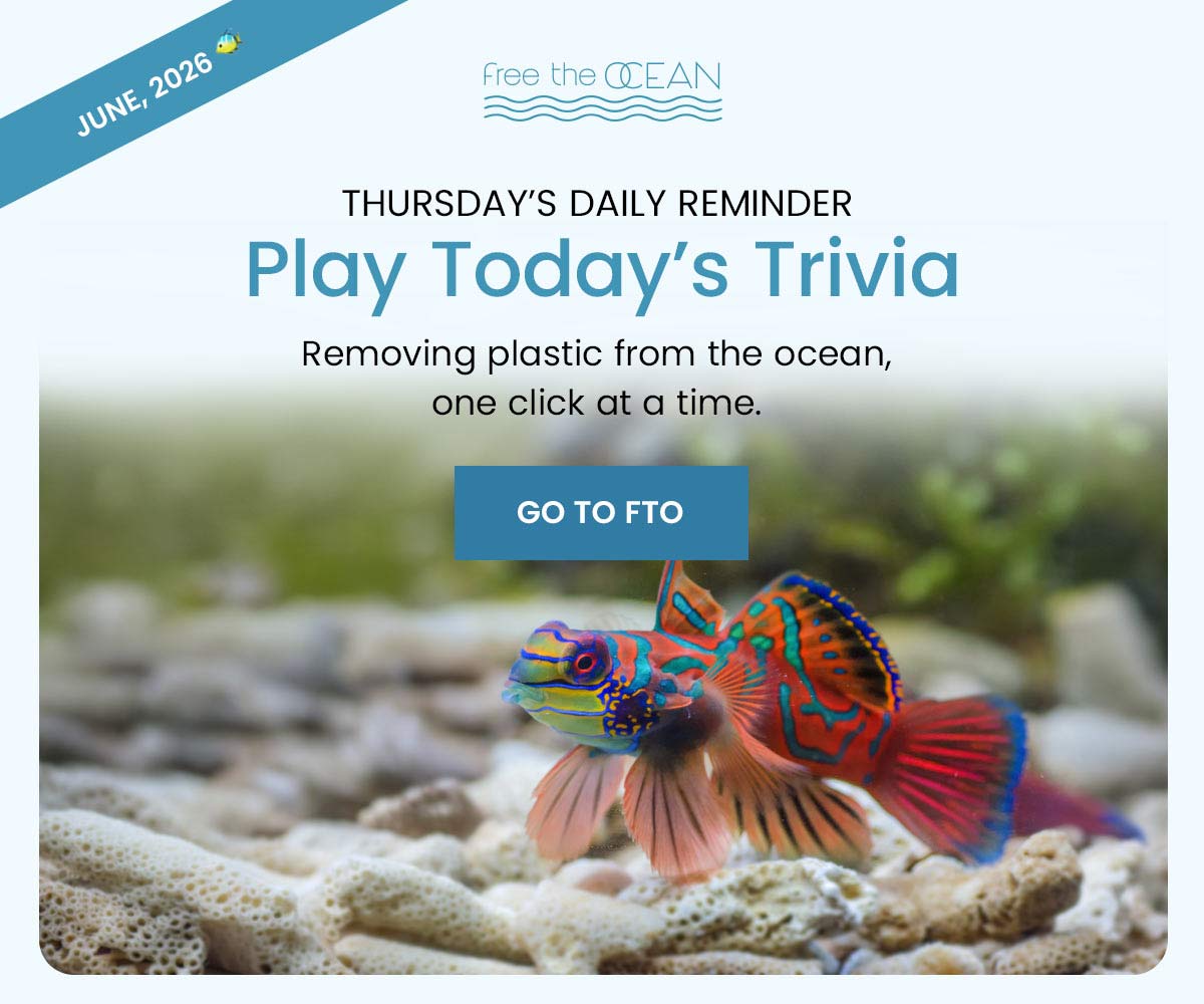 Removing plastic from the ocean, one click at a time