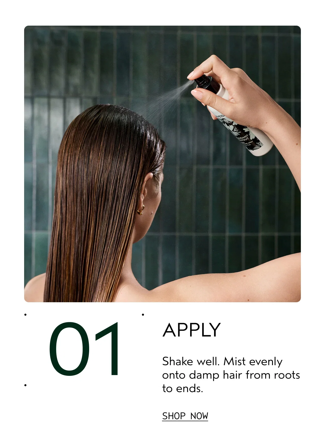 01 | APPLY | Shake well. Mist evenly onto damp hair from roots to ends. | SHOP NOW