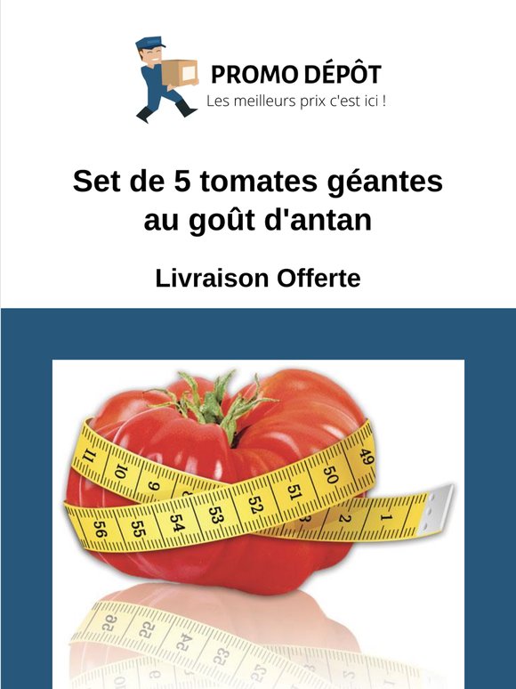 Decouvrez notre Set de 5 tomates géantes au goût d'antan