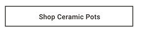 Shop Ceramic Pots