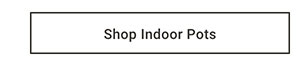 Shop Indoor Pots