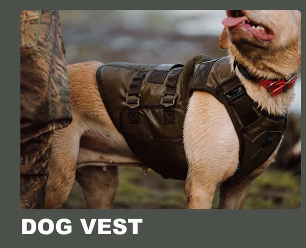 Dog Vest